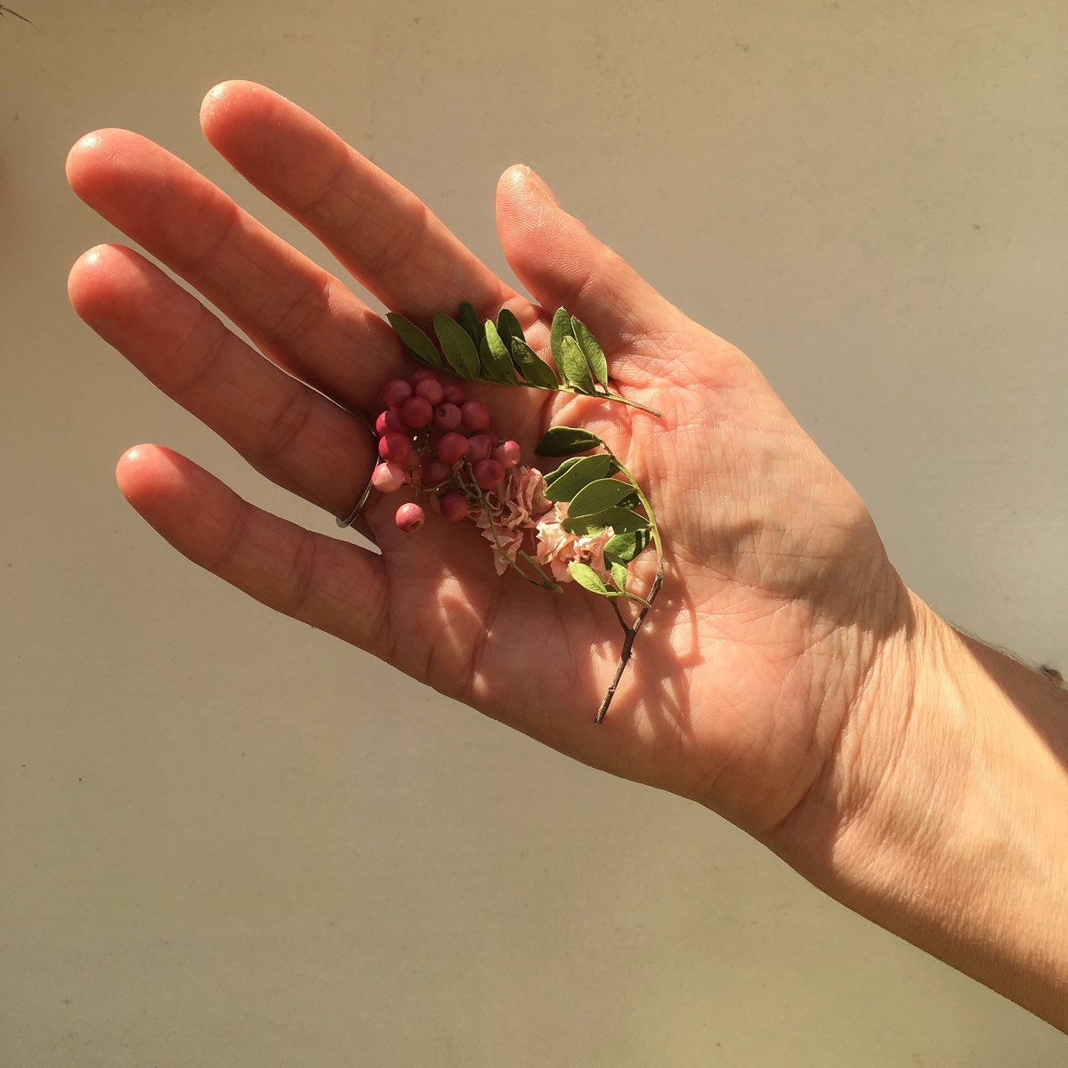 Hand mit Beeren und Blättern